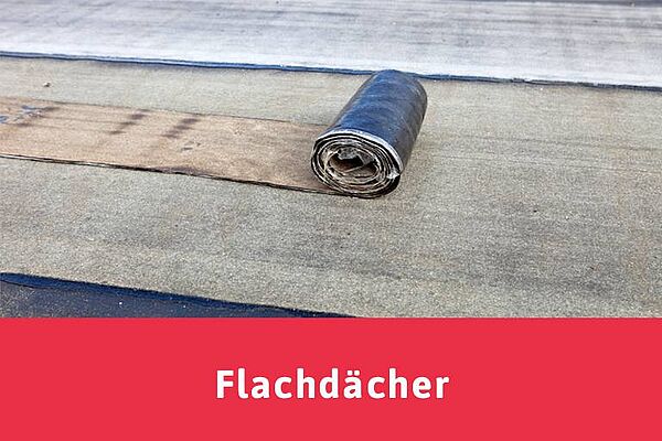 Neubau und Sanierungen: Flachdächer