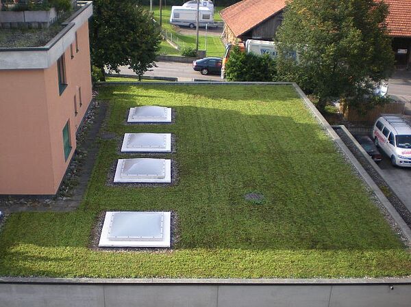 Begrünte Dachflächen für den natürlichen Wärmeschutz